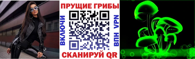 Галлюциногенные грибы мухоморы  Чкаловск 